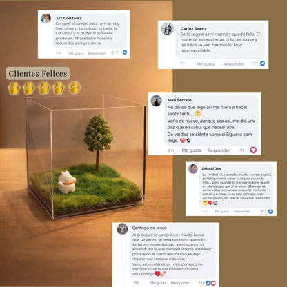 Cubo Holográfico de Mascotas Personalizado.